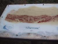 Alberone